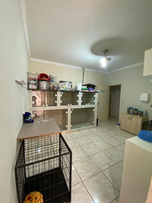 Internação Clínica Veterinária Amigo Fiel