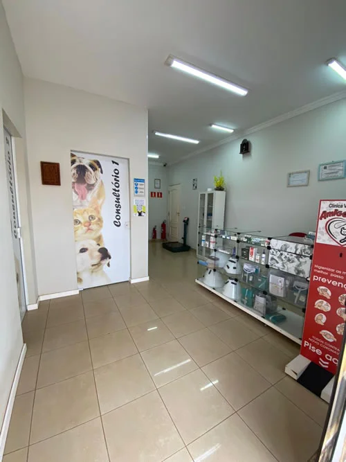 Recepção Clínica Veterinária Amigo Fiel